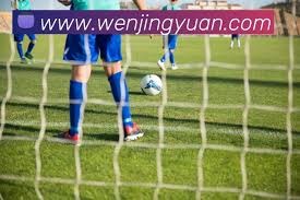 世界杯期间足球预测AI助手助力乡村球场建设